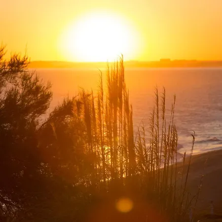 Tranquil Hideaway Olhos De Agua * Distretto di Faro