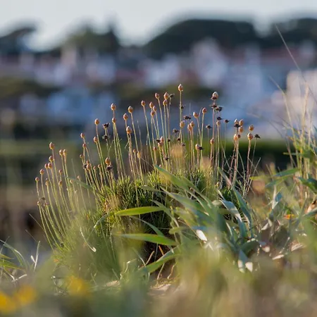 Tranquil Hideaway Olhos De Agua *